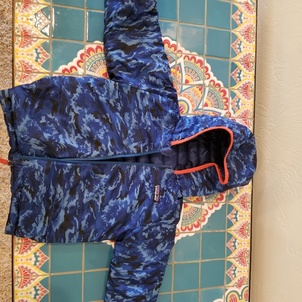 Patagonia puffer down sweater hoodie